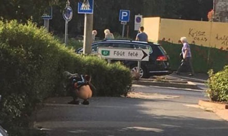 Nyilvános wc-nek nézte a Zárda utcai körforgalmat - Fényes nappal könnyített magán
