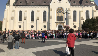 Ma van a Zene Vil&aacute;gnapja - Muzsik&aacute;t&oacute;l hangos Kaposv&aacute;r