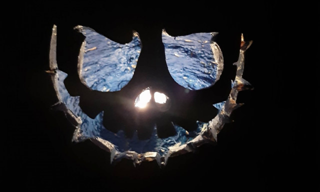 Paszterk&oacute; Georgina - Kinek van a legszebb t&ouml;ke Kaposv&aacute;ron?